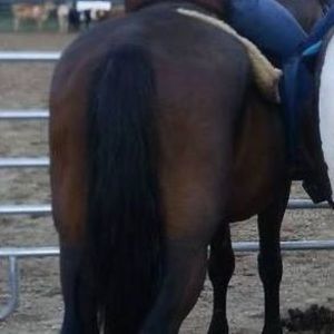 Meet your Posher, Terri